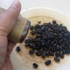 珈琲の生豆から焙煎！一杯のコーヒーから地球が見える？